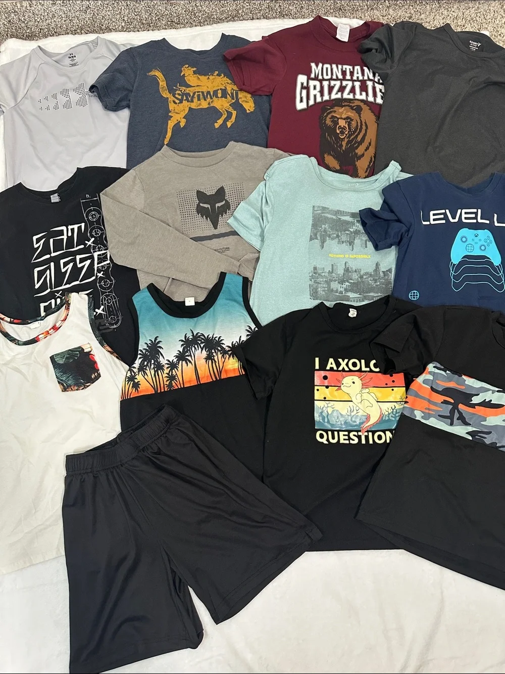 🐴 Bundle of 13 Boys Tees/Short Size 10/12